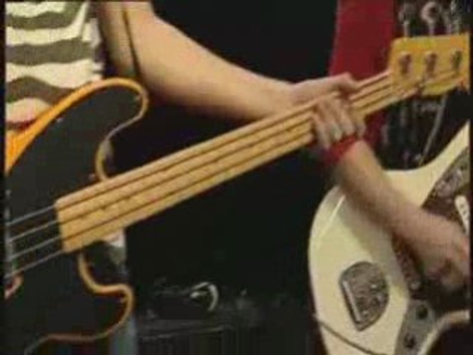 D - NS