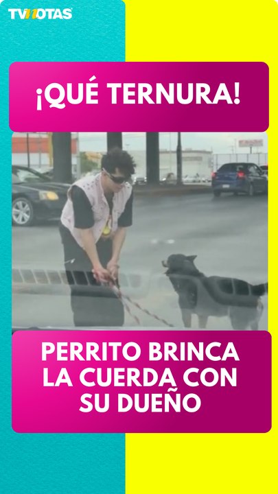 Perrito brinca la cuerda con su dueño en un semáforo