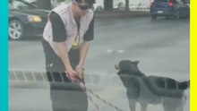 Perrito brinca la cuerda con su dueño en un semáforo