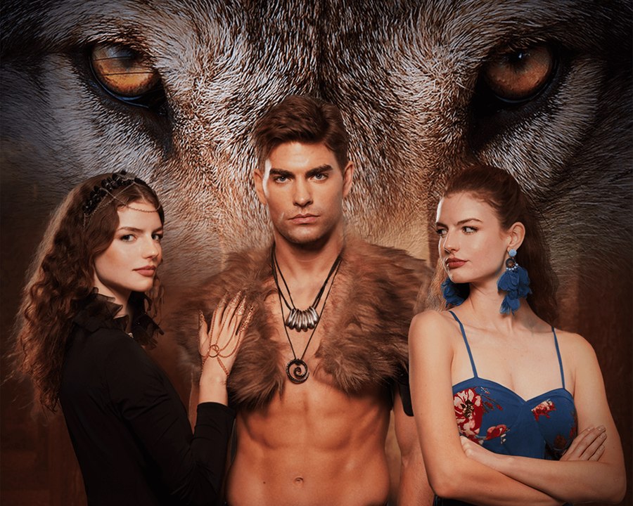 El triángulo amoroso prohibido con los gemelos serie completa