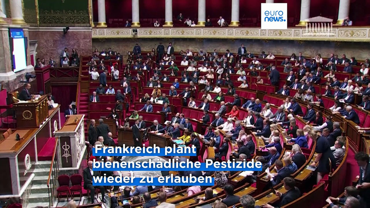 Auf Bitten Macrons: Barbut bleibt Umweltministerin von Frankreich