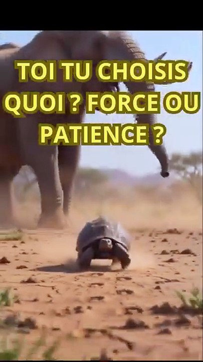CONTE AFRICAIN : LA PATIENCE BAT LA FORCE
