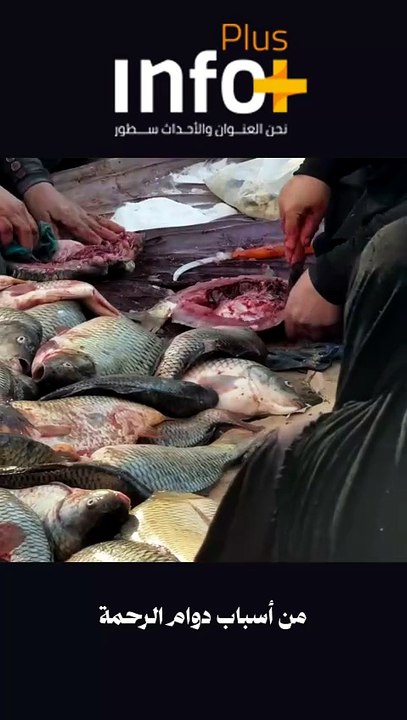 نعمة العراق الدائمة