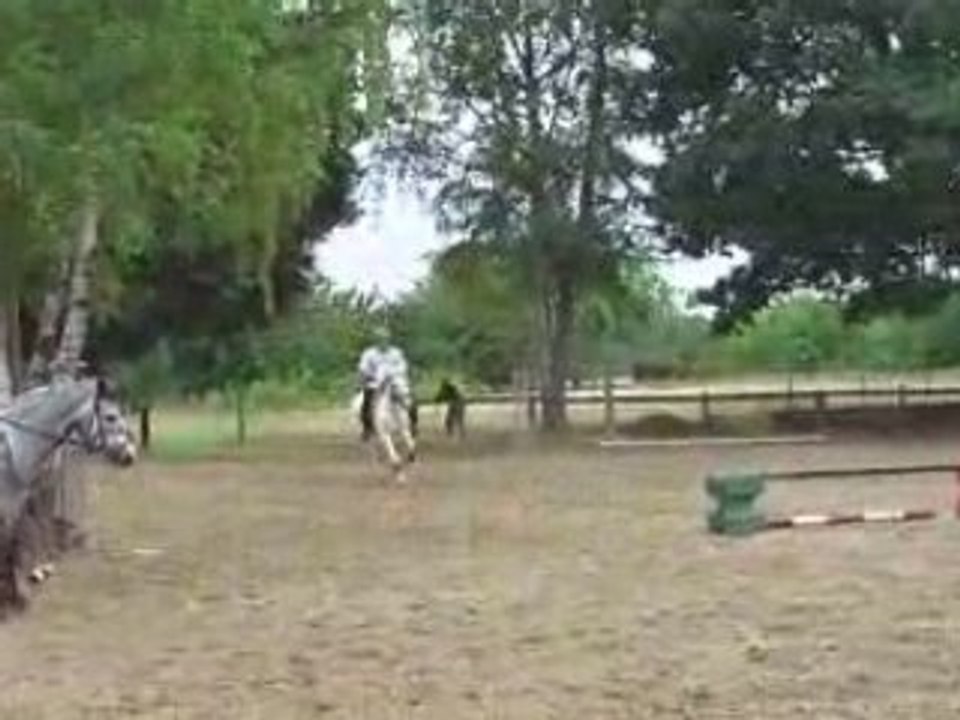 Pirouette