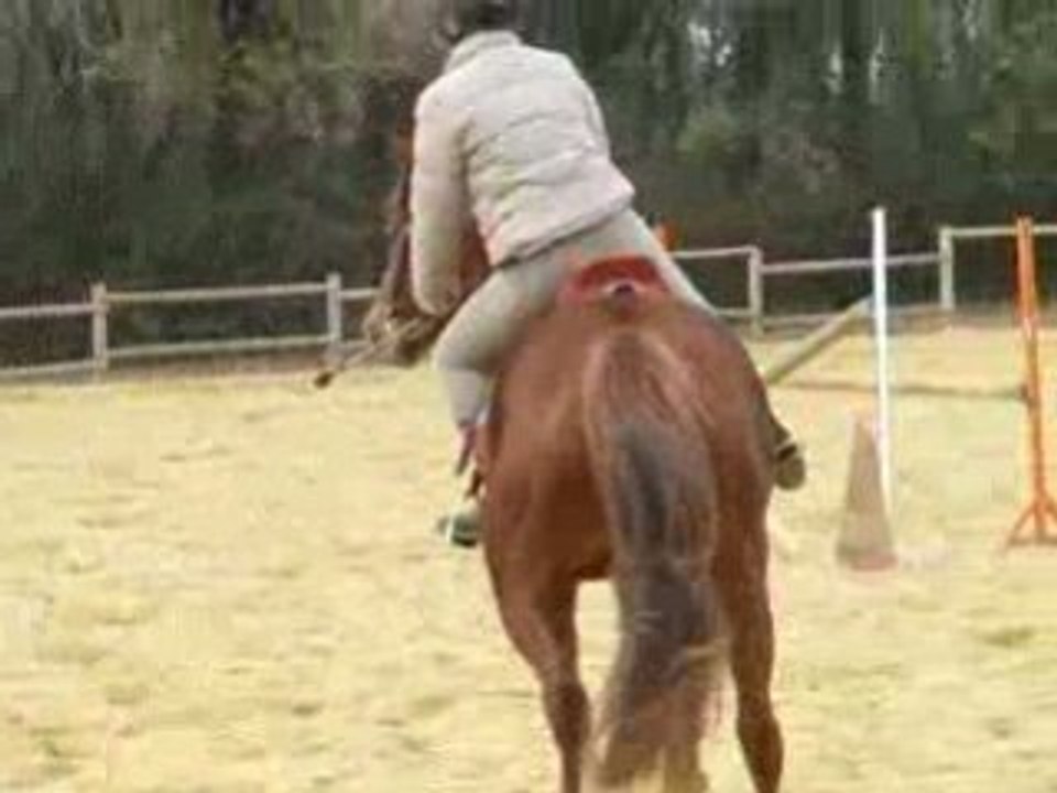 Premier Galop Queen