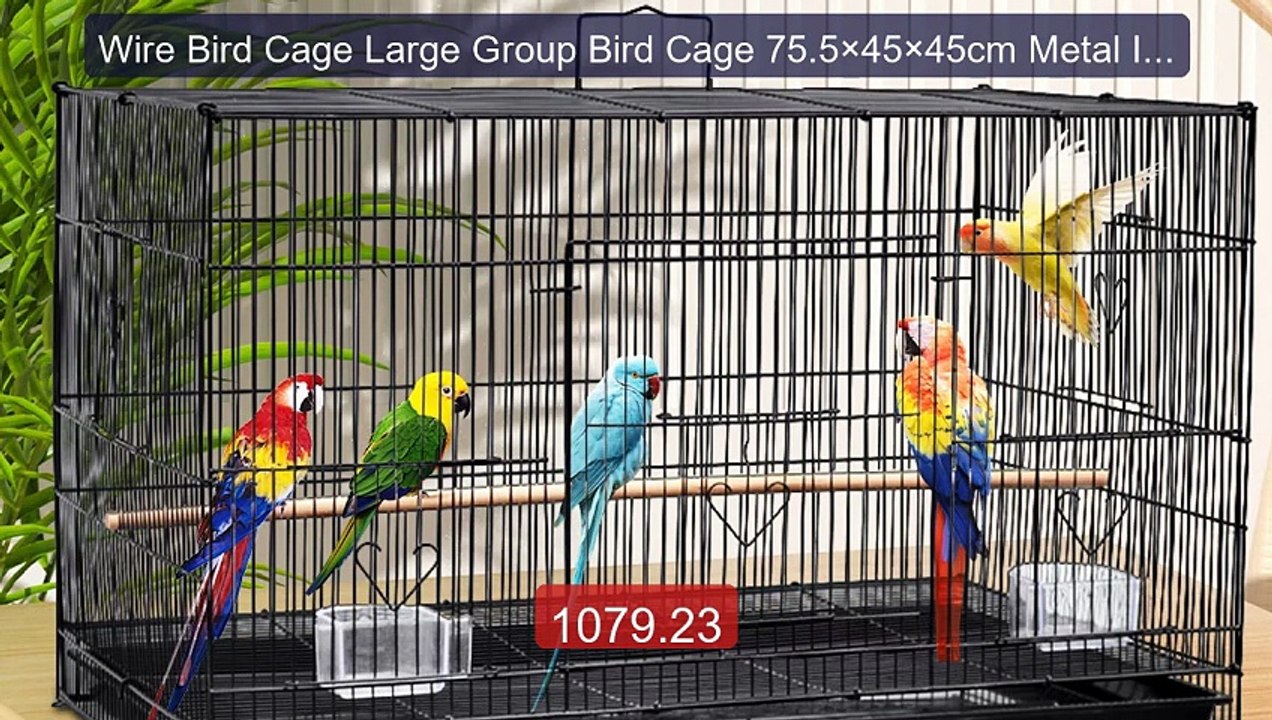 Wire Bird Cage Large Group Bird Cage 75.5×45×45...