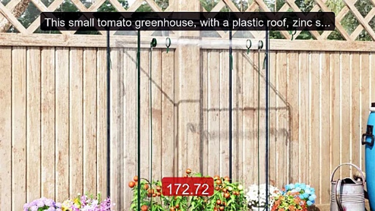 This small tomato greenhouse, with a plastic roof, zinc ste... -- Top Pick 2026 | Unbeatable Price!