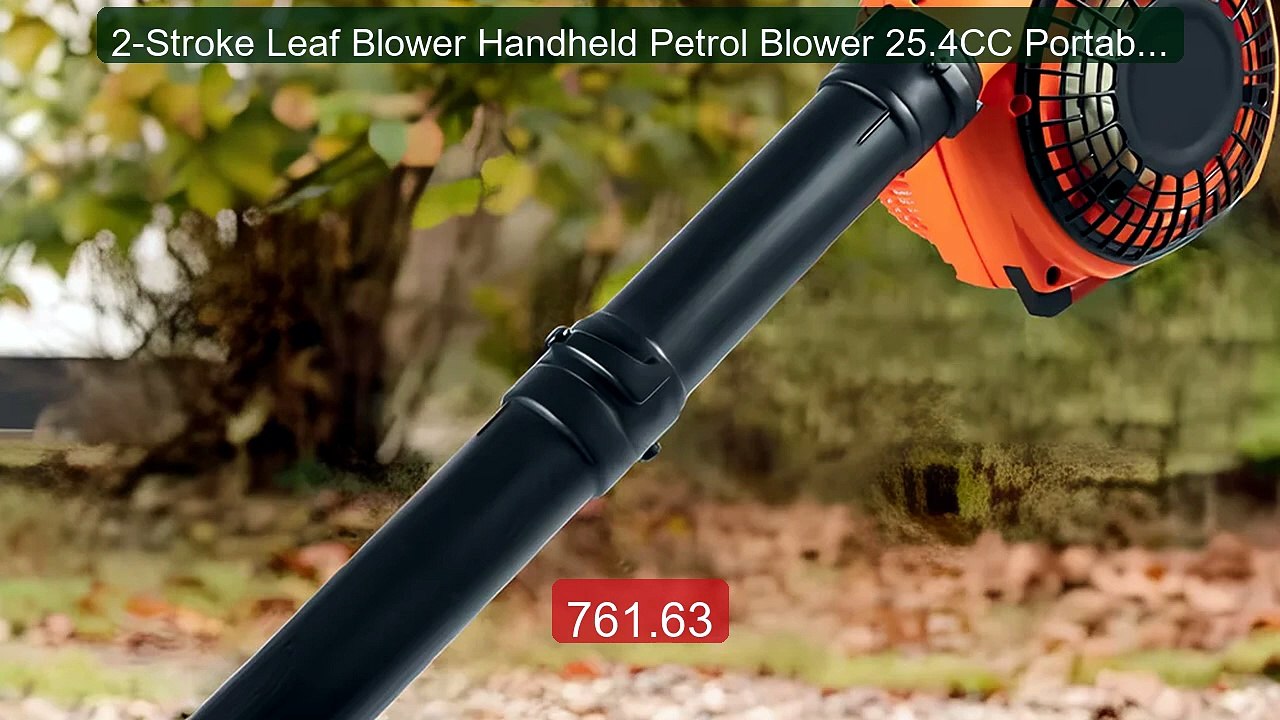 2-Stroke Leaf Blower Handheld Petrol Blower 25.4CC Portable B... -- Amazing Value 2026 | Must Have!