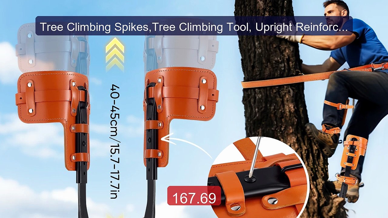 Tree Climbing Spikes,Tree Climbing Tool, Upright Reinforcemen... -- Amazing Value 2026 | Must Have!