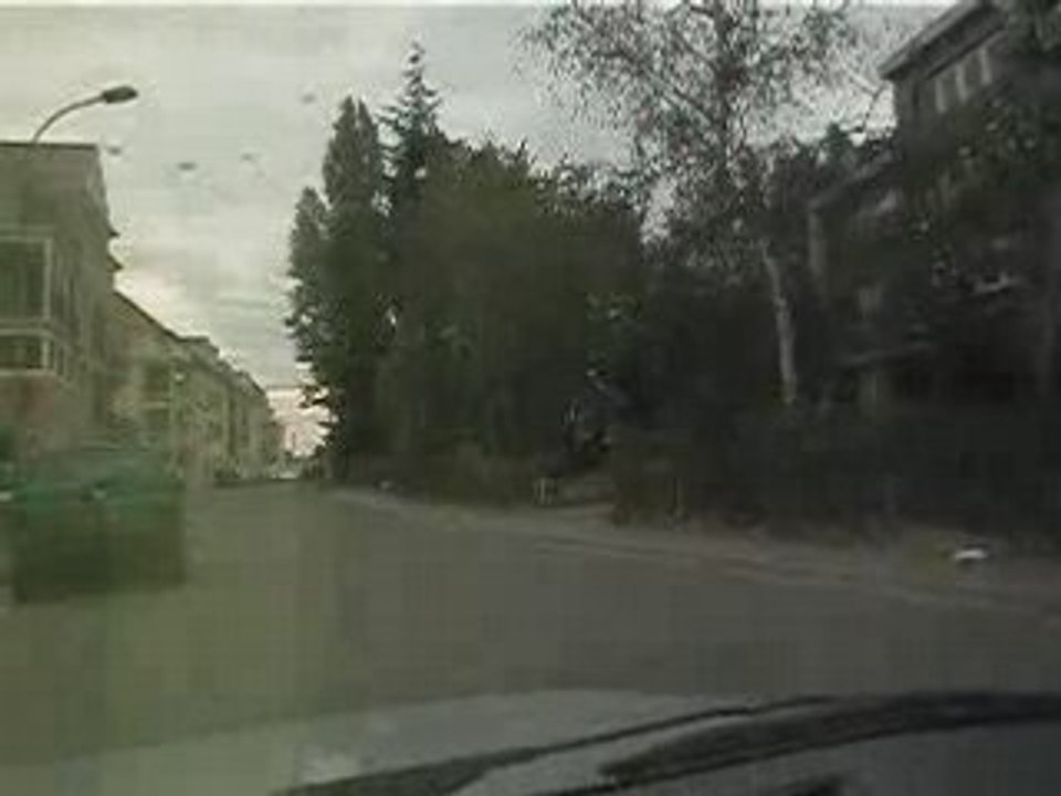 The Beatle Barkers - A Hard Day's Night