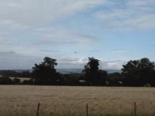 Looping  Honey bee MAX FP