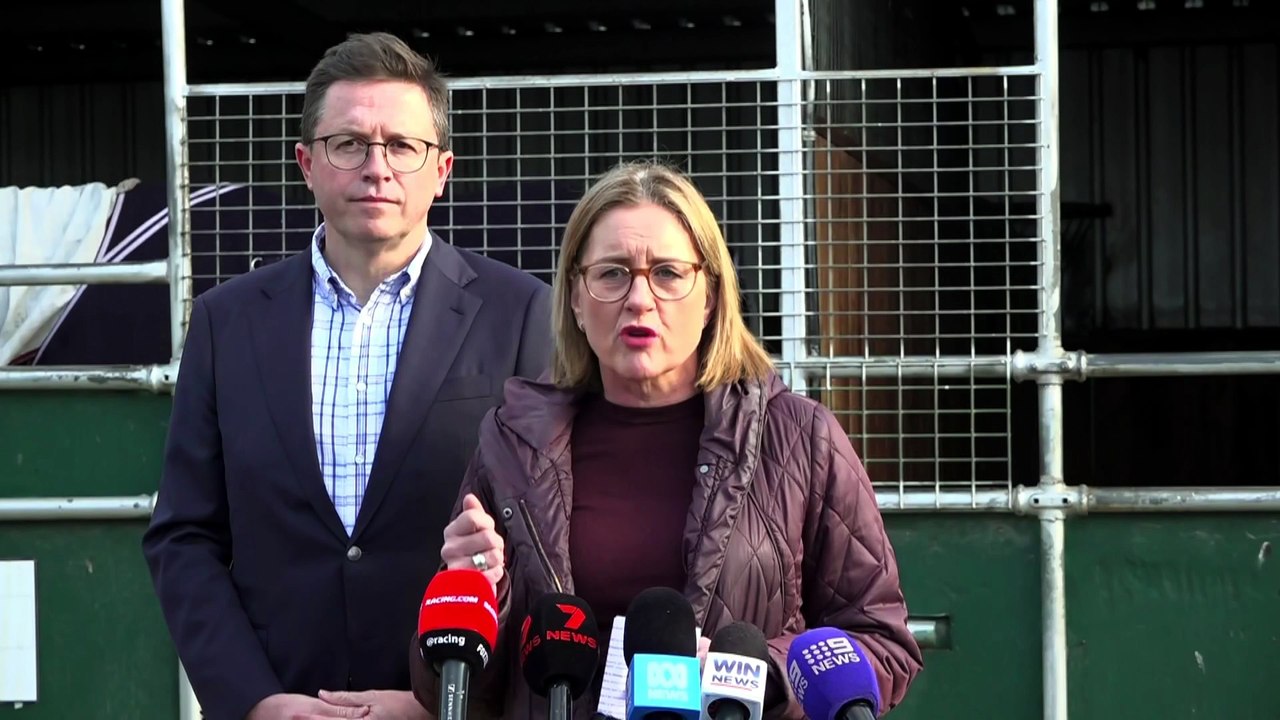 Labor minister plays happy family alongside Premier Allan after caucus retreat attack