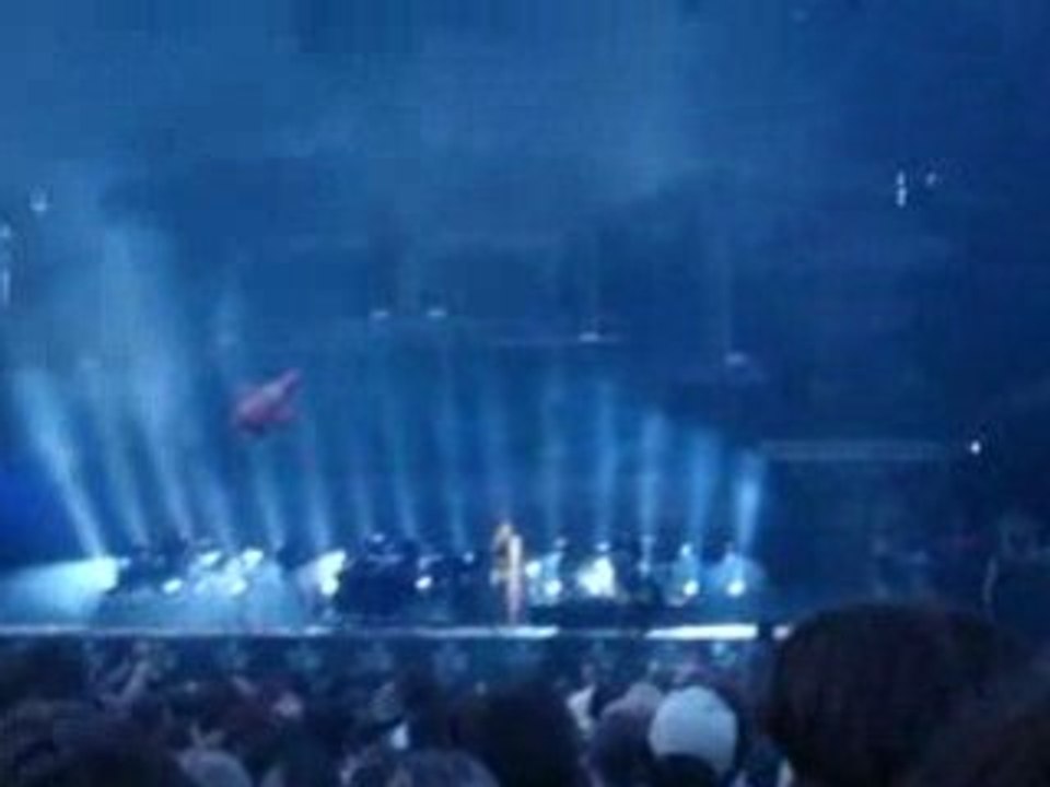 Eurockéennes 2008 : Massive Attack 1