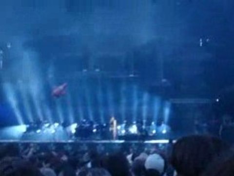 Eurockéennes 2008 : Massive Attack 1