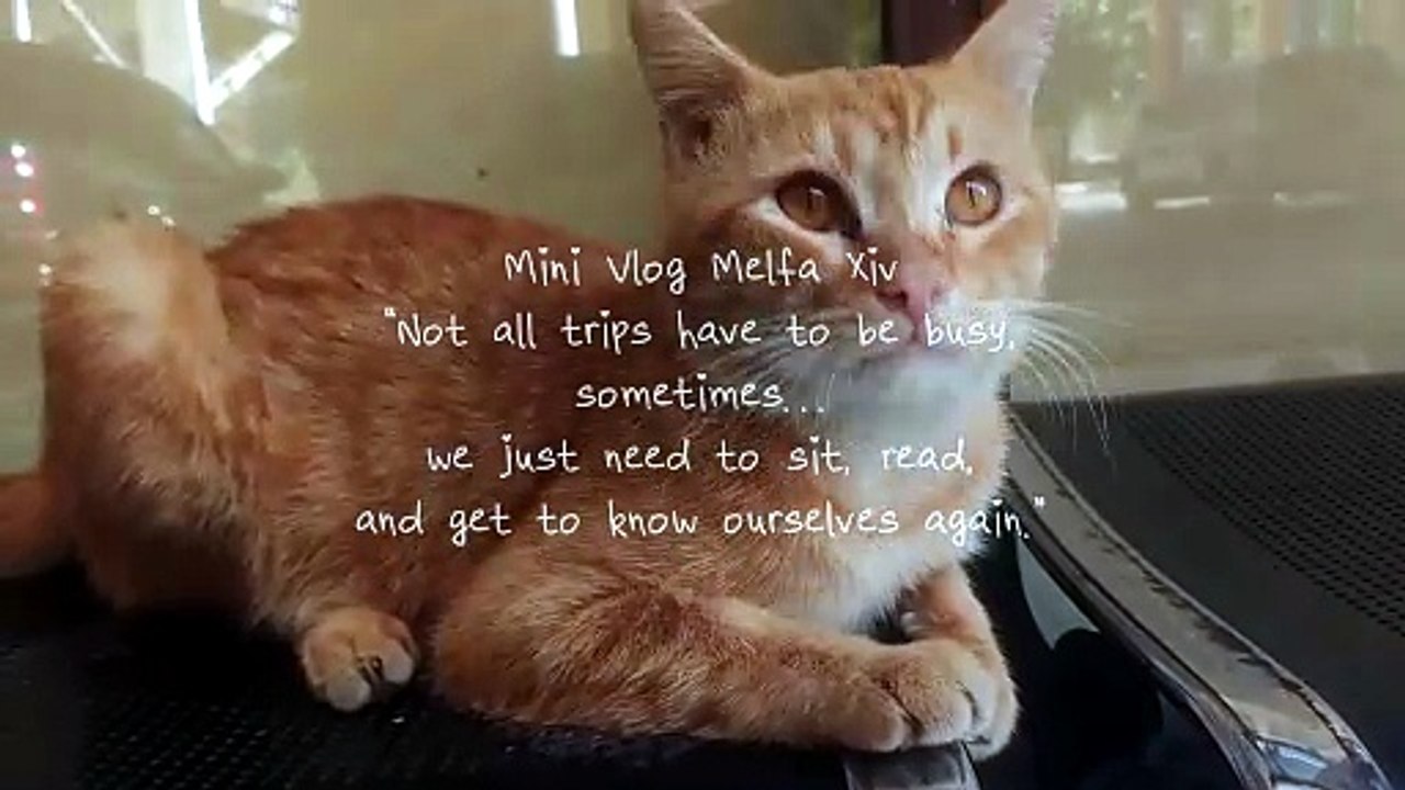 Mini Vlog "Membaca di Perpustakaan"