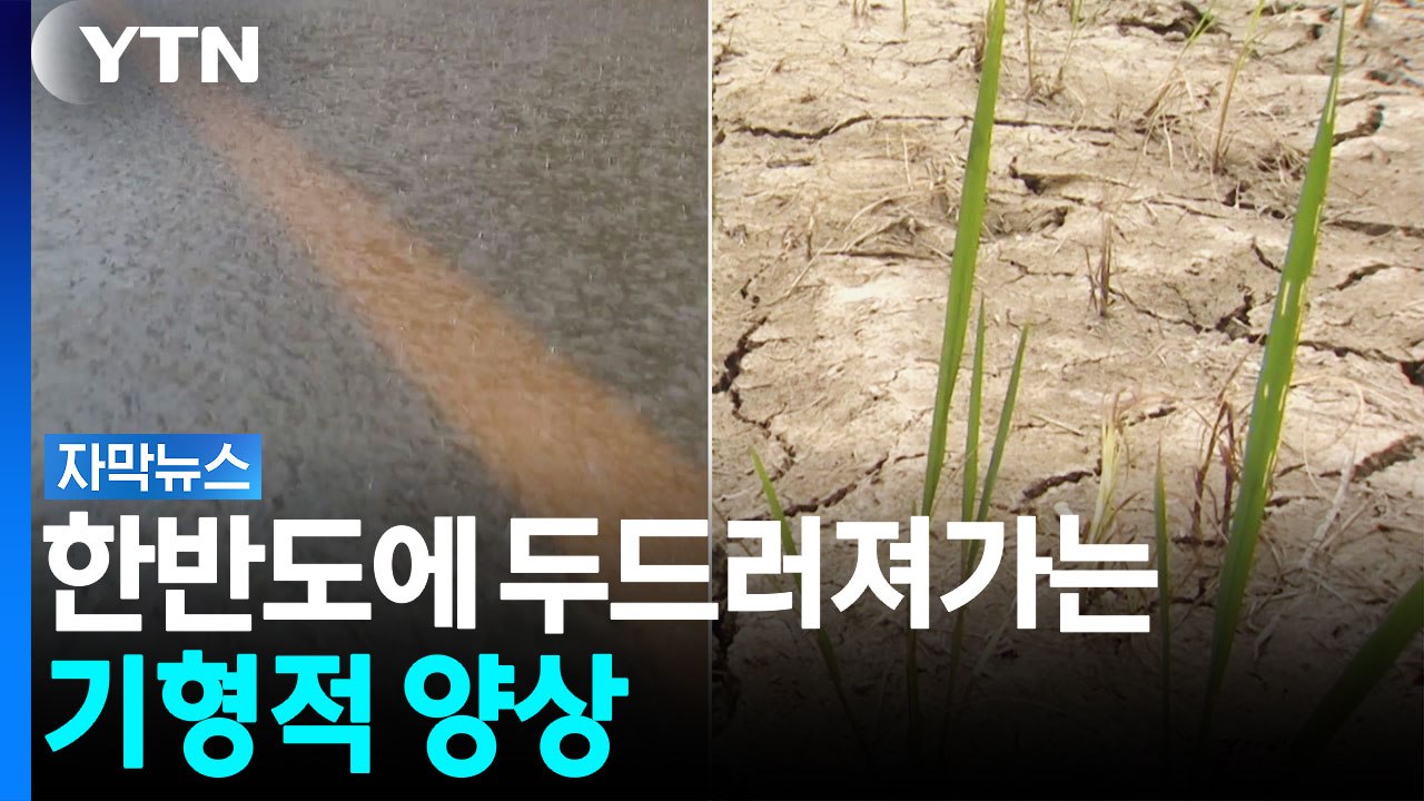 장마라더니 여긴 왜?...한반도에 나타난 기형적 기상현상 [자막뉴스] / YTN