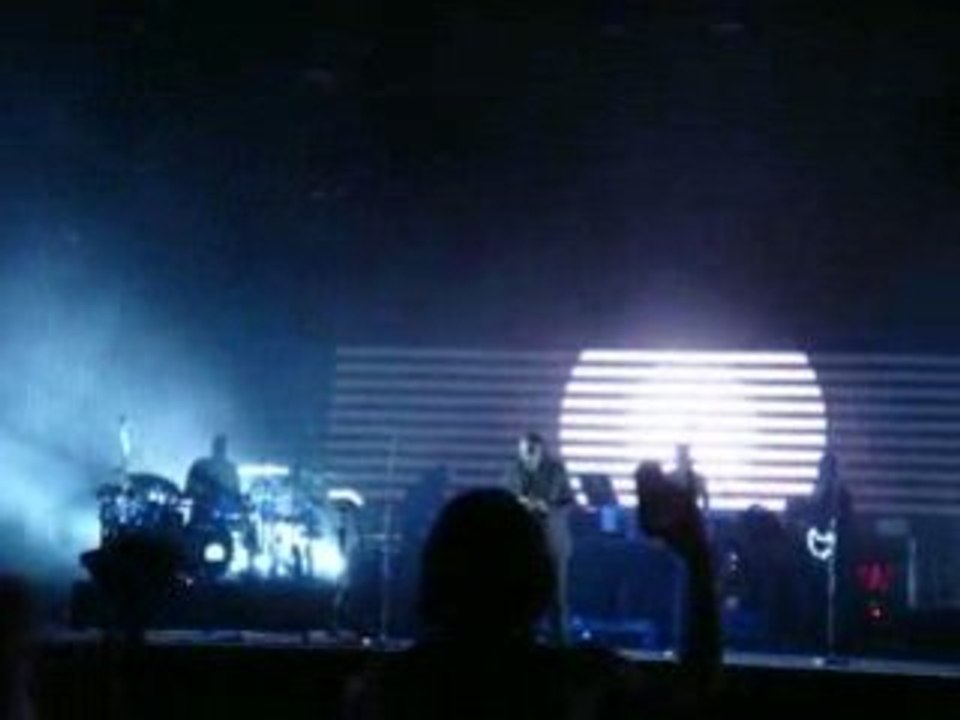 Eurockéennes 2008 : Massive Attack 3