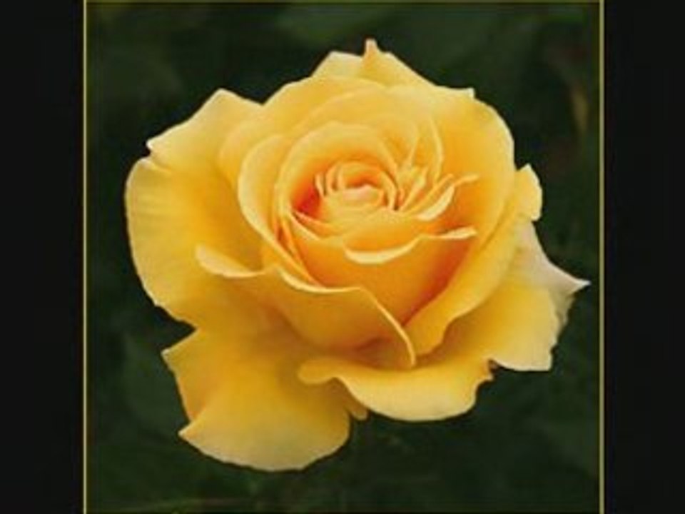 Nevena Coneva - Molitva za teb