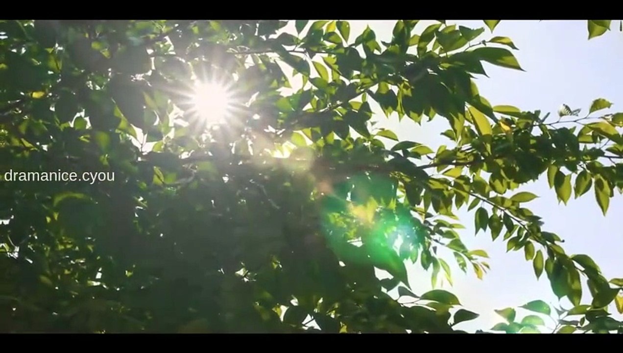We Are All Trying Here Episode 8 English Subtitles [Full Movie]
