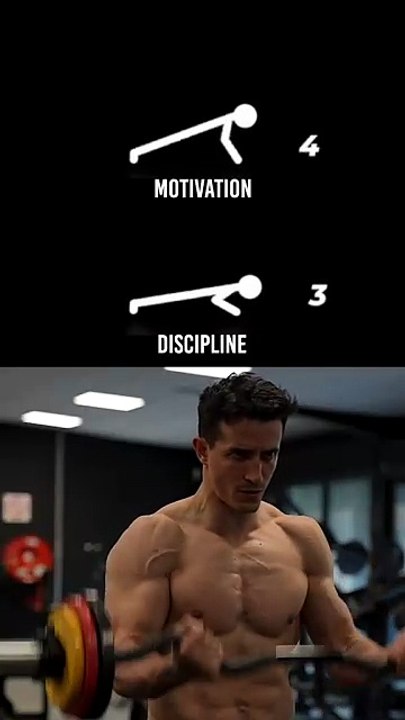 Discipline >>