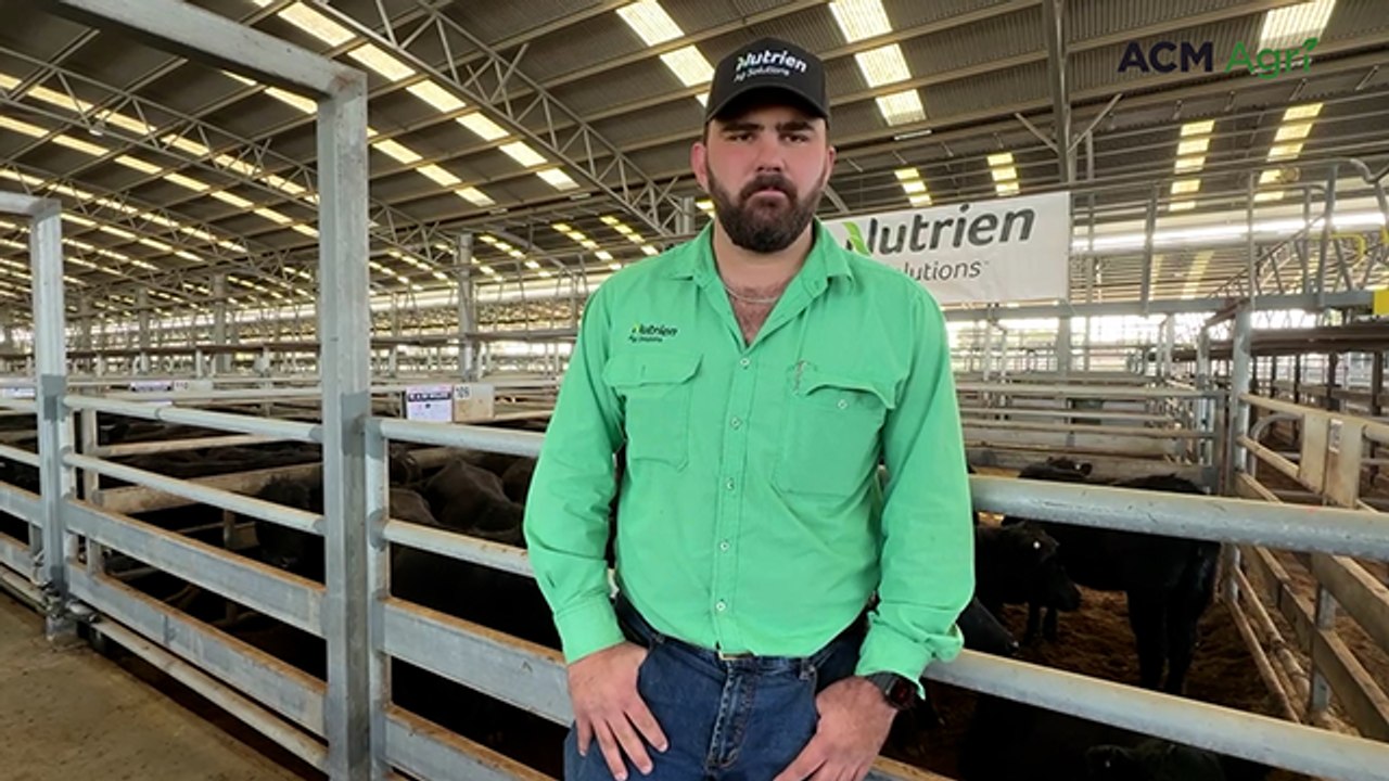 Naracoorte monthly store sale - July 23, 2026