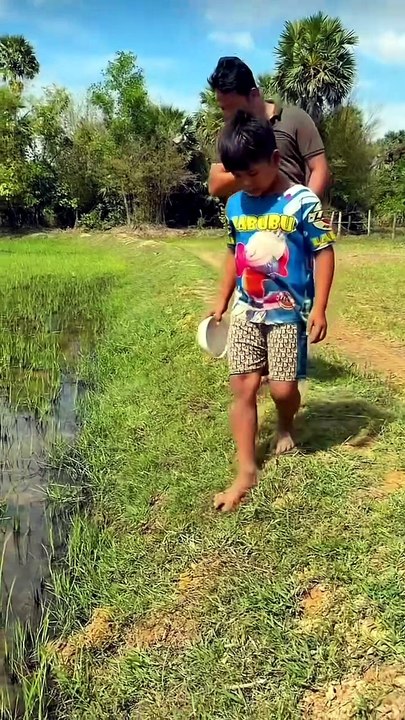 Do You Know Where These Beloved Betta Fish Live in the Wild? 🐠🌿 Incredible! 🔥