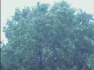 le vent se lève  06  75    04     35  36