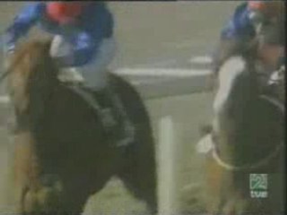 2006.01.01, nº 2 MJ (RTVE, 3a ng) Buster O'Reilly