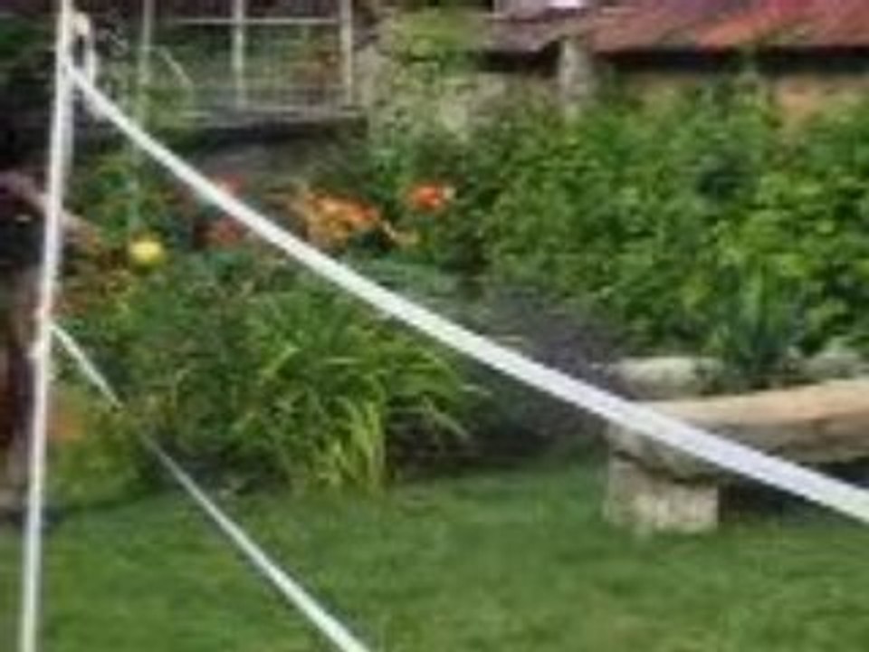 tire dans la gueule (foot)