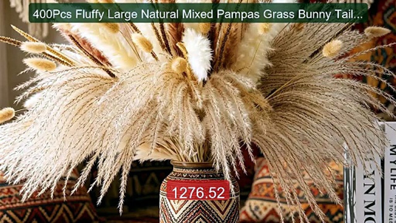 400Pcs Fluffy Large Natural Mixed Pampas Grass Bunny Tails Dried F... -- Best Deal 2026 | Shop Now!