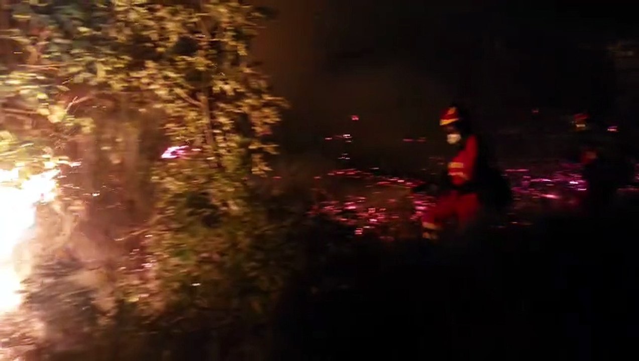 La UME ataca las llamas del incendio de Castropodame en León (II)