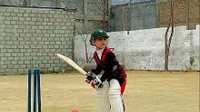 Cover Drive, Straight Six or Pull Shot YOU Choose! ðð¥