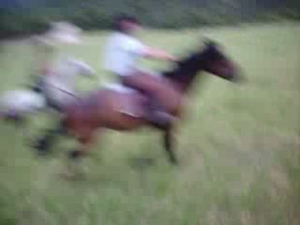 Galop2