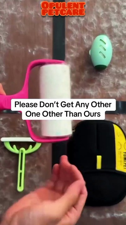 Tested 4 Pet Hair Removers — This Mitt Was the Clear Winner 🐾