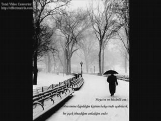 Arap Şükrü Gönül Sayfam