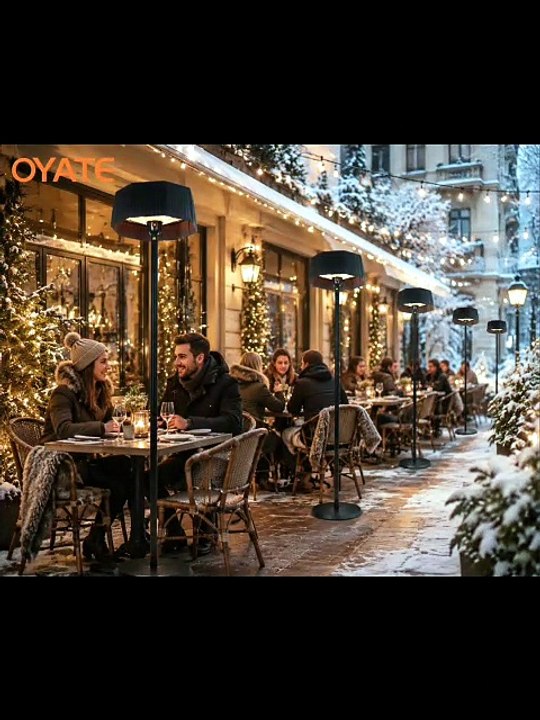 1500W Electric Patio Heater Freestanding Infrared Outdoor Heater Indoor Space Heater for Home Restaurant Garden
