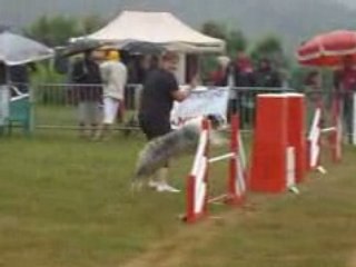 Le Creusot Baxter Jump