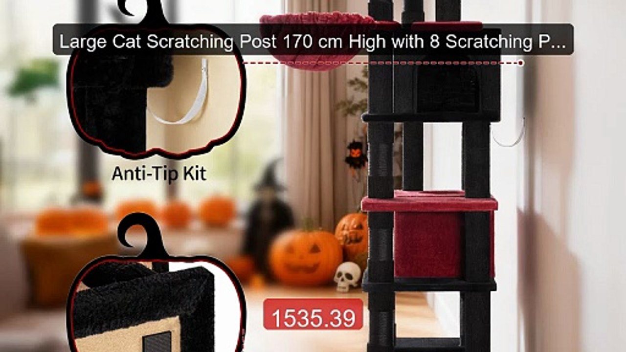 Large Cat Scratching Post 170 cm High with 8 Scratching Posts,... -- Best Buy 2026 | Great Quality!