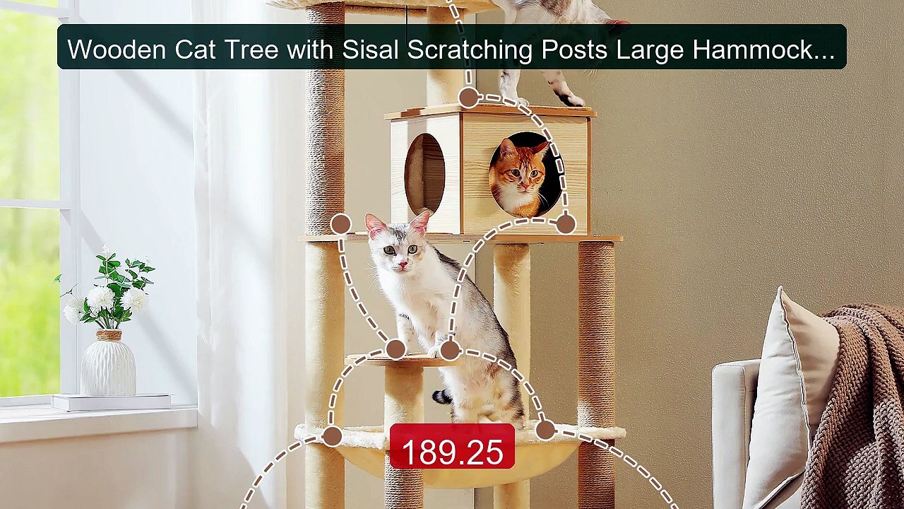 Wooden Cat Tree with Sisal Scratching Posts Large Hammock Plus... -- Best Buy 2026 | Great Quality!