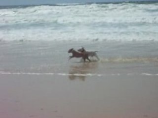 Game et anna qui s'amuse sr la plage oceane
