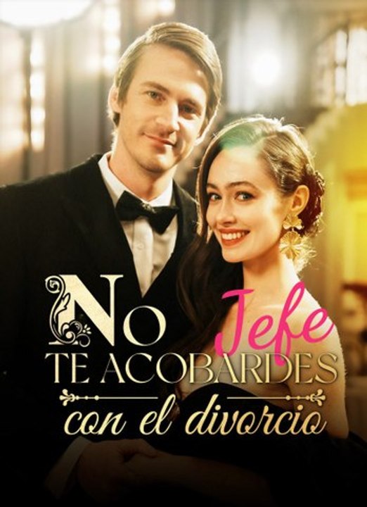 Boss, Don't Chicken Out on the Divorce serie completa