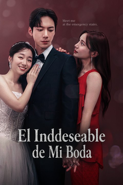 El Indeseable de Mi Boda serie completa