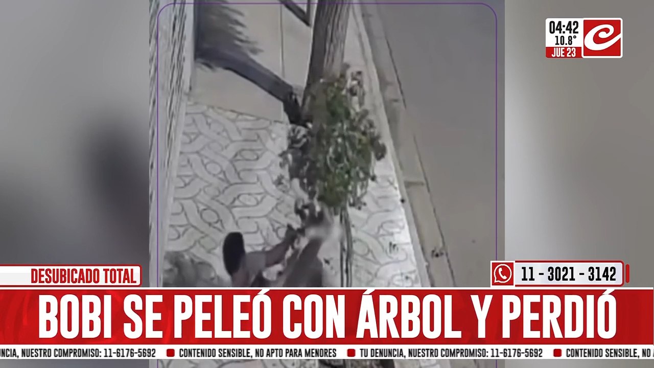 Insólito: borracho se peleó con un árbol y terminó perdiendo