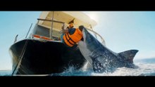 Shark Frenzy - Trailer (English) HD