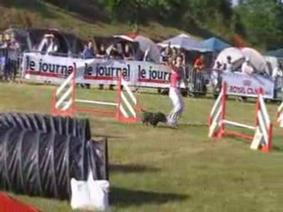 Agility Vodka Finale GPF 2008