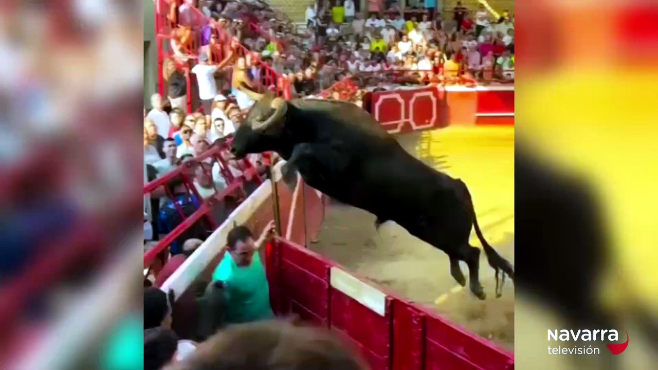 Un capón salta a la grada en Cadreita