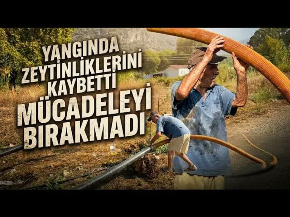 Zeytinlikleri Kül Oldu, Gözyaşını İçine Akıtıp Yangına Su Taşıdı