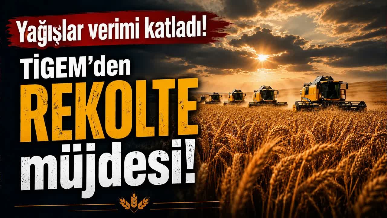 TİGEM'de Hasat Heyecanı: 24 Biçerdöver Aynı Anda Tarlada