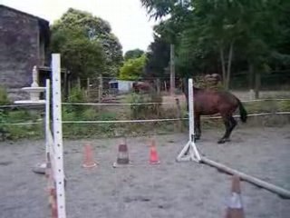 Querelle 07juillet08 003