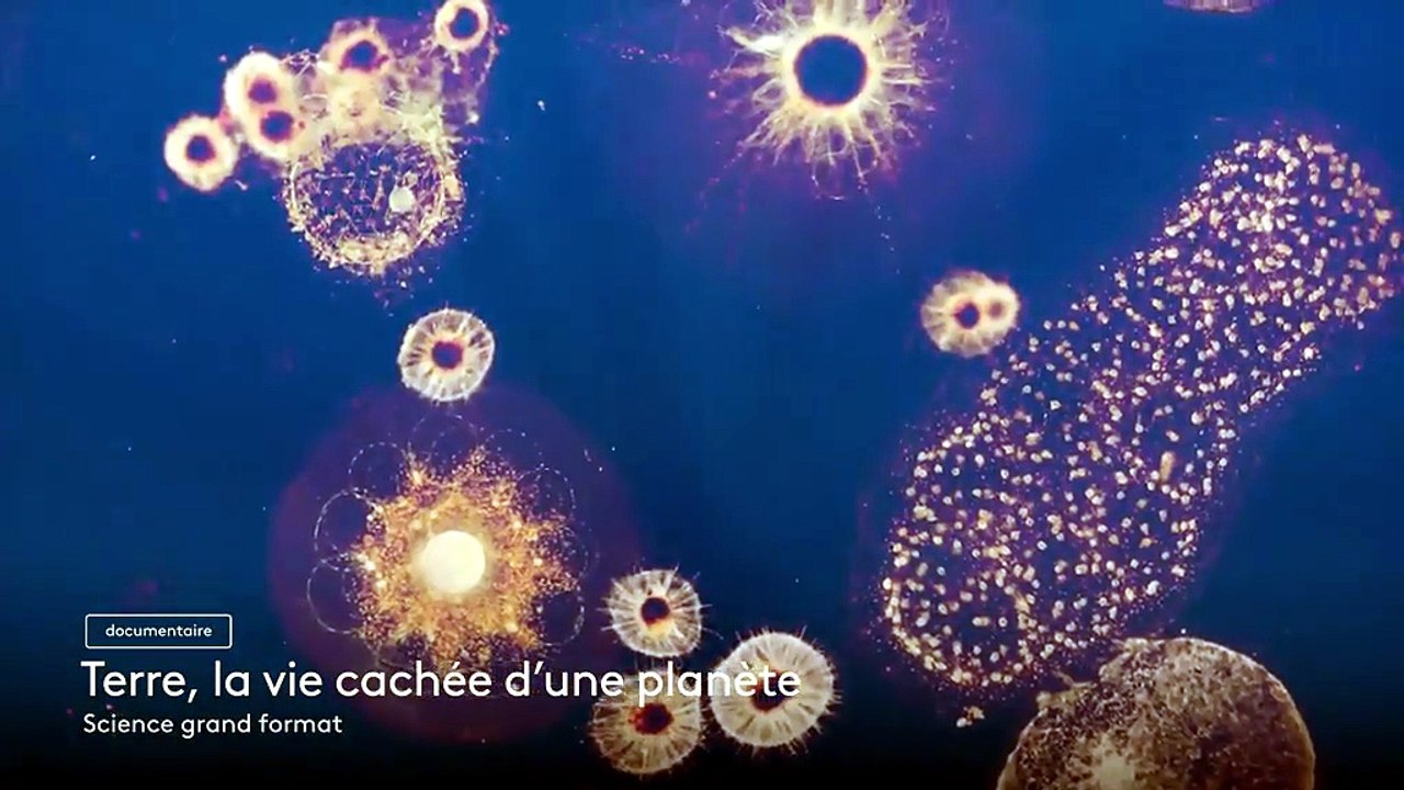 Terre, la vie cachée d'une planète